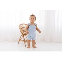 Aster & Oak - Chambray Overalls