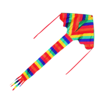 Small Rainbow Single Line Children's Kite