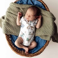 Snuggle Hunny - Dragon Short Sleeve Organic Bodysuit