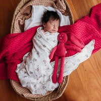 Snuggle Hunny Kids - Heart Organic Muslin Wrap