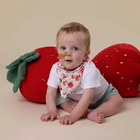 Snuggle Hunny - Strawberry Organic Dribble Bib