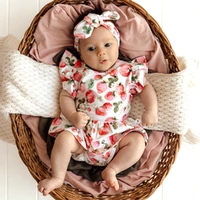 Snuggle Hunny - Strawberry Short Sleeve Organic Dress