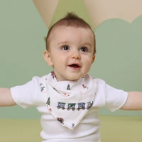 Snuggle Hunny - Trains Organic Dribble Bib