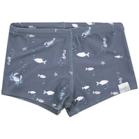 Toshi - Boys Swim Shorts Neptune