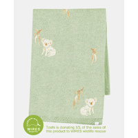 Toshi - Organic Blanket Storytime - Koala