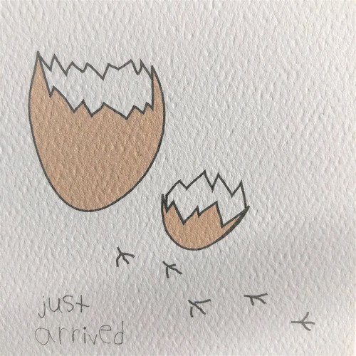 Egg Neutral Small Gift Card