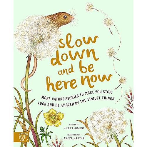 Slow Down and Be Here Now Hardback