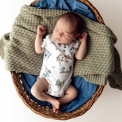 Snuggle Hunny - Dragon Short Sleeve Organic Bodysuit [Size: 0000]