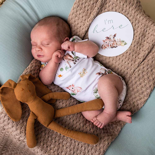 Snuggle Hunny - Farm Short Sleeve Organic Bodysuit [Size: 00]