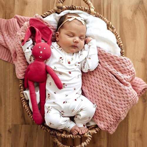 Snuggle Hunny - Ladybug Organic Growsuit [Size: 0000]