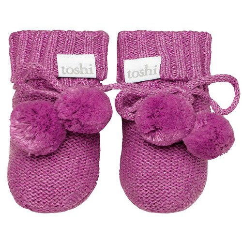 Toshi - Organic Booties Marley Violet [Size: 000]